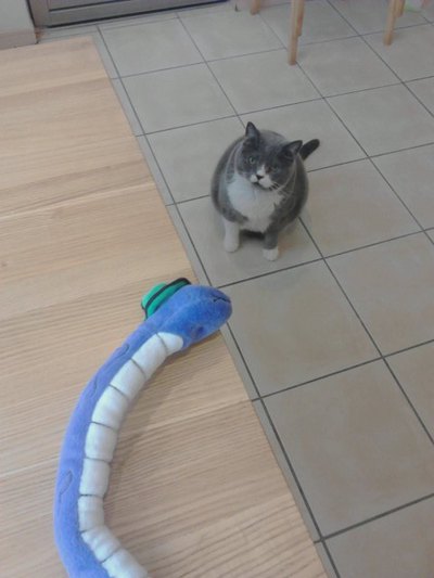 大蛇と戦うトムくん