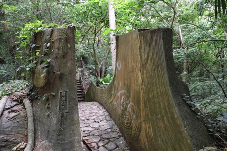 蔡温松並木