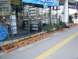 中部店から！