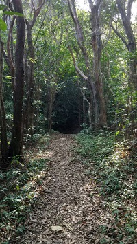 名護岳山頂から坦々厨房の担々麺。 2021/11/14 16:08:05