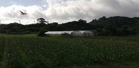 今帰仁村　玉城農園 2022/04/27 21:36:43