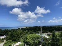 今帰仁村　赤瓦　茶そば 2021/07/06 22:25:03