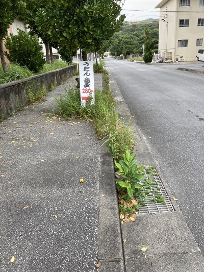 本部町　うどん、蕎麦、カレー、の琉球。