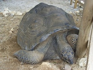 大満足で夢の中♪