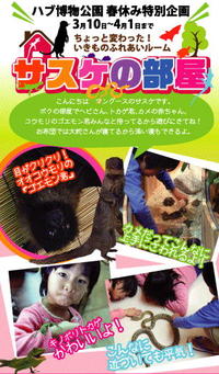 おきなわワールド・ハブ博物公園「サスケの部屋」 2012/03/08 09:39:04