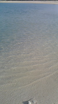 おはようございます！ 2012/11/20 10:01:13