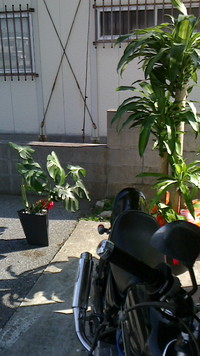 晴れましたね 2012/12/06 10:13:55