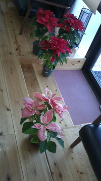 おはようございます！ 2012/12/24 09:31:14