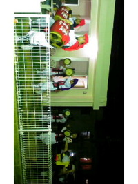 エイサー 2009/09/02 23:18:40