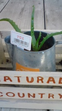 (^◇^) 2009/10/08 13:39:20