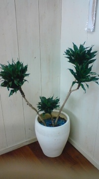 (^◇^) 2009/11/06 16:27:43