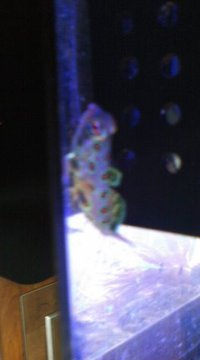 (^o^) 2009/11/28 19:05:30