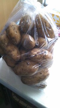 (o・v・o) 2010/03/18 12:01:54