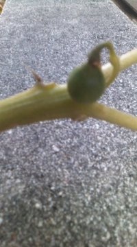 (^o^) 2010/04/09 17:39:16