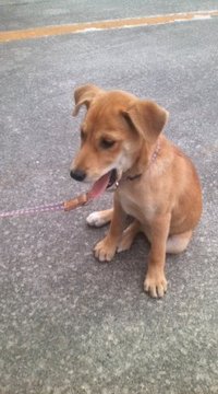 ワン！ 2010/04/23 11:52:25