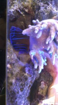 久しぶりに…。 2010/04/28 11:43:49