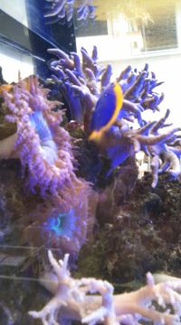 o(^o^)o 2010/06/29 17:26:44