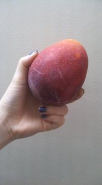 マンゴー☆ 2010/07/16 16:04:15