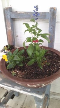 (^o^) 2010/11/09 12:15:42