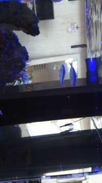 グルクン♪ 2010/12/02 12:55:36