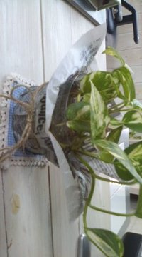 (^-^) 2011/01/26 12:40:46
