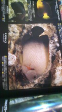 カタログだと 2011/04/28 19:18:20
