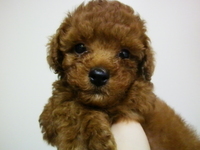 おかげさまで 2012/07/10 21:11:01