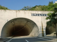 癒す。。。 2012/05/07 21:00:01