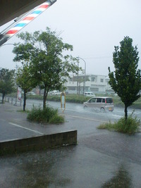 雨やね 2012/06/19 14:25:10