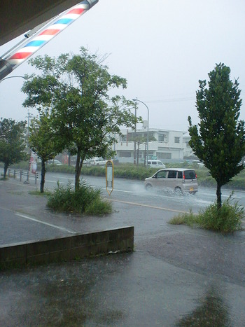 雨やね