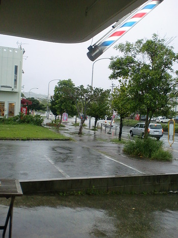 雨やね
