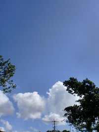 晴れ時々、人生。。。 2012/05/31 10:32:41