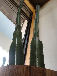 自己を見つめる・・・ 2012/06/28 11:09:12