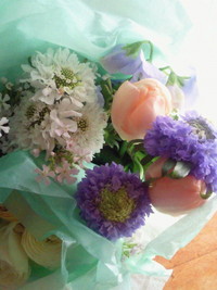 春・・・ 2012/03/13 10:41:45