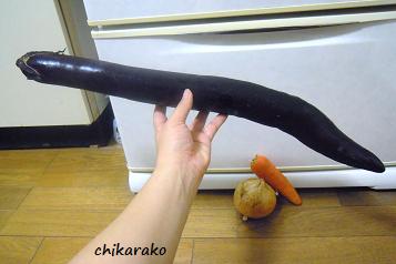 長 ～ いナス！？