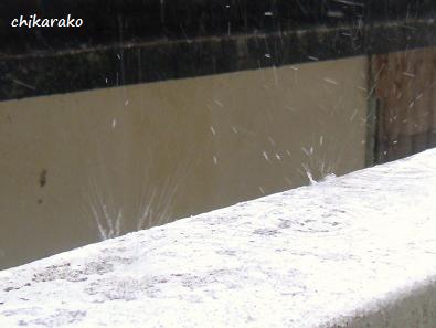 雨と稲光とカミナリと・・・