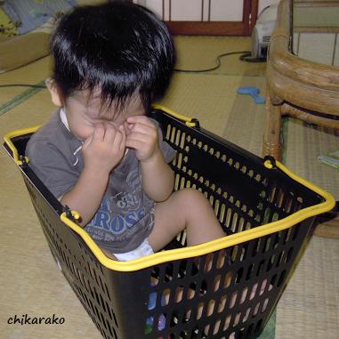 頭隠して ♪ 尻隠さず ♪