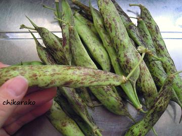 うずら豆ご飯を食べよう～♪