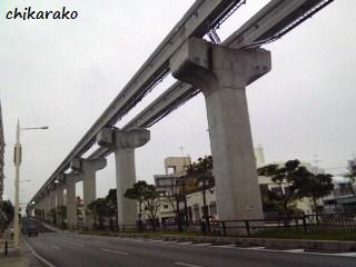 緑のカーテン ♪