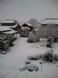 あずき 2010/01/14 12:20:44