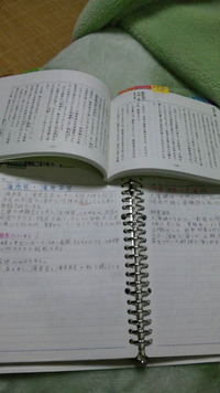 困った〜（泣） 2010/05/02 23:02:31