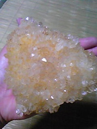 癒しに・・・ 2009/08/12 23:12:18