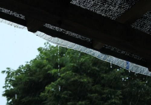 梅雨