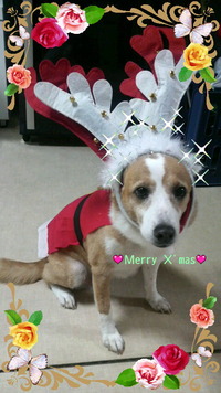 Happy・・・