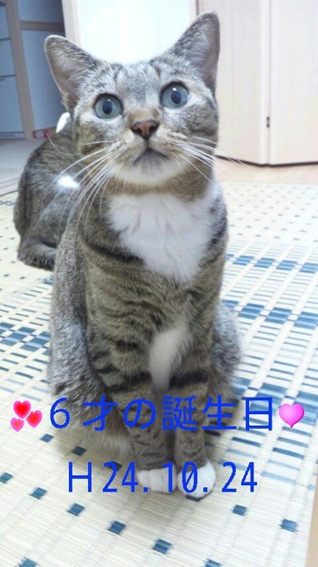 お誕生日～