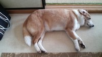 暇つぶし