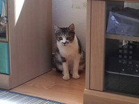 親子でお留守番