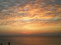 夕日
