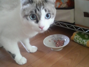 今年も有難うございました❤