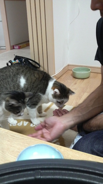 瓦そば